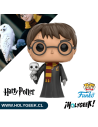 Figura coleccionable del joven mago con su lechuza Hedwig